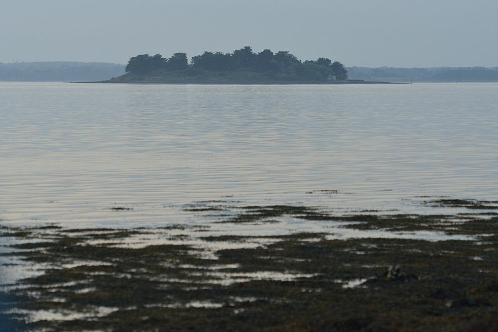 Le golfe du Morbihan, à une trentaine de minutes de Sérent